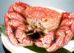 美味海鮮吃不停 北海道極地求生