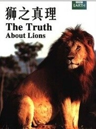 bbc:狮子的真相