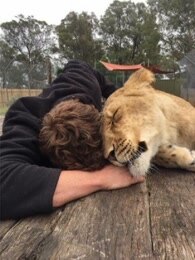 bbc:我和动物的生活