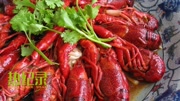小龙虾如何扫荡吃货界