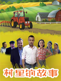 村里的故事第一季