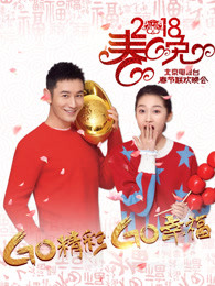 2018北京卫视春晚