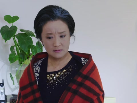 大儿子秦勇与妻子乌梅二人因忽略夫妻间彼此尊重与勾通最终而分手.