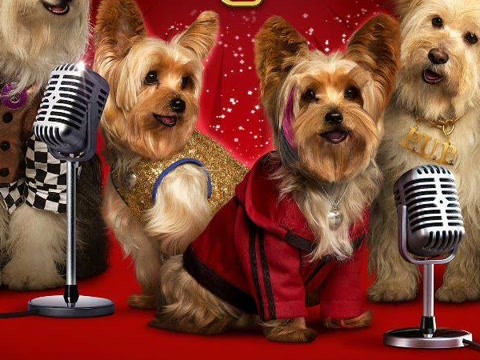 萌犬好声音2(英文)